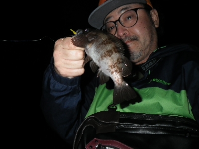 ナイトゲーム～朝まずめに突入