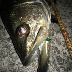 大物ゲスト登場！2021ライトゲーム第9戦