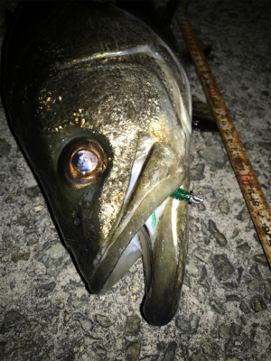 大物ゲスト登場！2021ライトゲーム第9戦