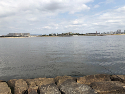 フカセでキビレ