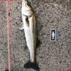 今日もボコボコ