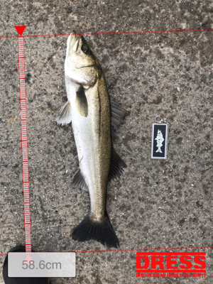 今日もボコボコ