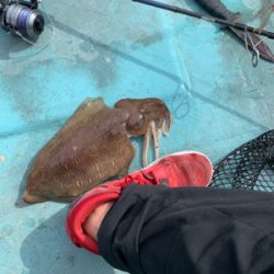 宇和島ブリジギング