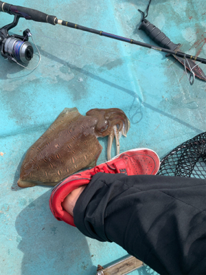 宇和島ブリジギング