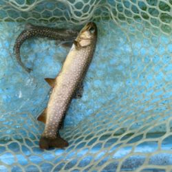 栃木総合運動場フィッシング