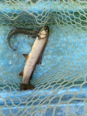 栃木総合運動場フィッシング