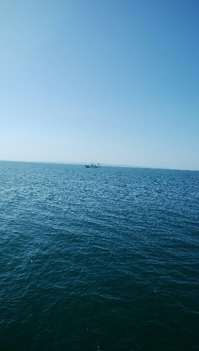 餌でベラ2匹！フグ多数・・・