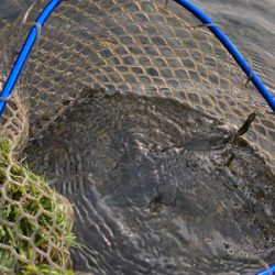 黒保根渓流フィッシング