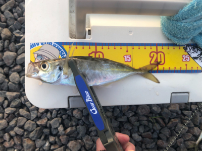 もう少しの辛抱かもしれない