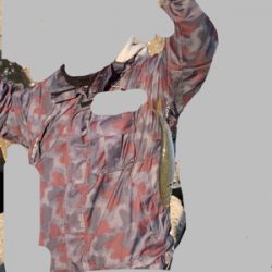 サワラ釣れません