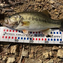 ほっほぉーい！初