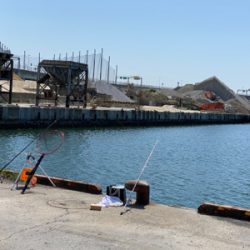 アジ、五目釣り