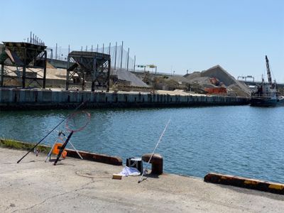 アジ、五目釣り