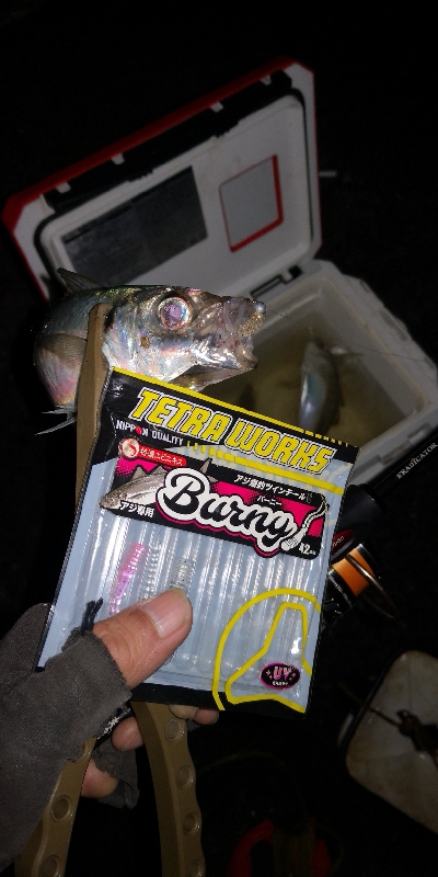 アジング練習　276