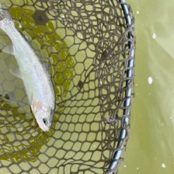 服部緑地、平日はガラガラですよ。