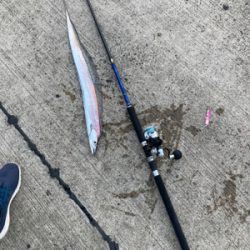 堤防タチウオで、竿頭!!