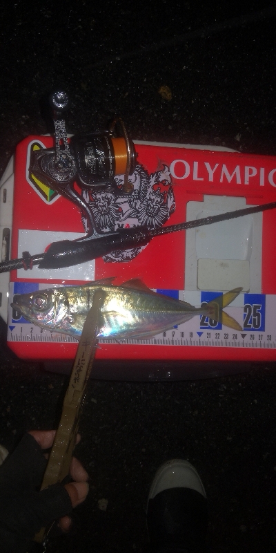 アジング練習 277