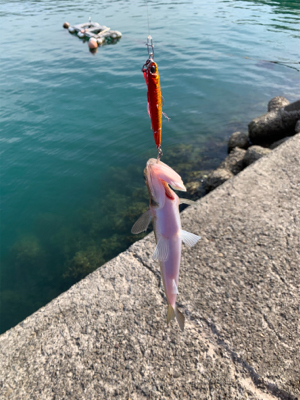 爆風の中エソンガー