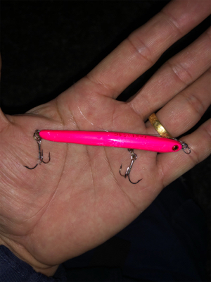 10ヶ月ぶりのバチfish