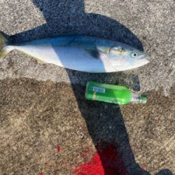 諦めかけた時に。。。