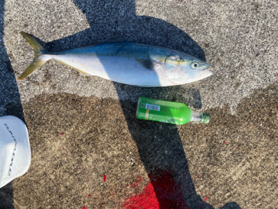 諦めかけた時に。。。