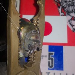 アジング練習　279