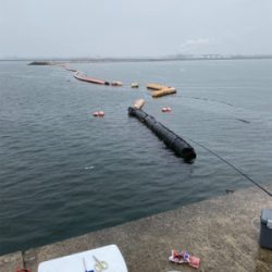 岸一でエビ撒き