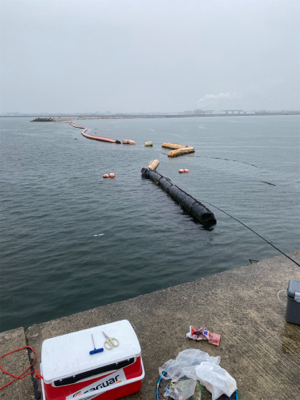 岸一でエビ撒き