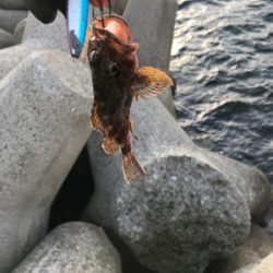 強風だったけど