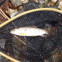 雨って聞いてないし