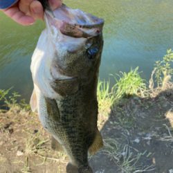 今年初50アップ！