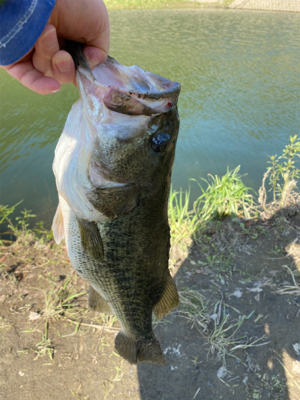 今年初50アップ！