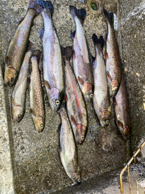 栃木市総合運動公園フィッシングフィールド