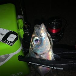 Newタックル入魂釣行♪