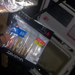 アジング練習　282　21カルディアFC LT1000S