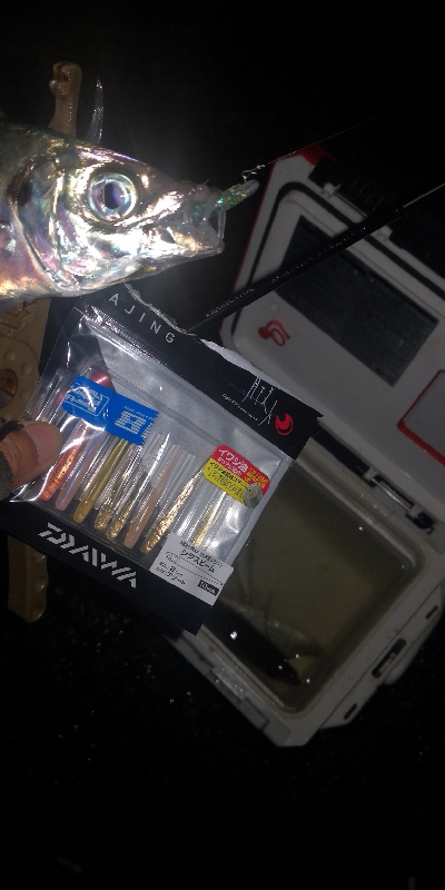 アジング練習　282　21カルディアFC LT1000S