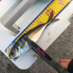 今日も仕事ですが…