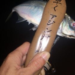 アジング練習　283　21アルテグラC2000S