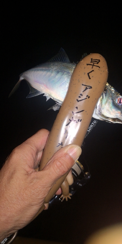 アジング練習　283　21アルテグラC2000S