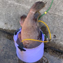 いつものポイント