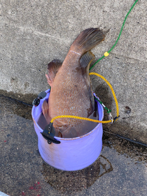 いつものポイント