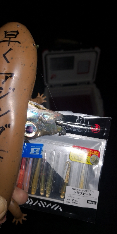 アジング練習　284　