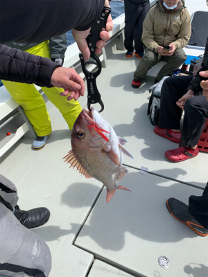 丹後沖タイラバ&ジギング