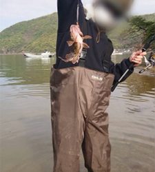 癒やしのカサゴ釣り