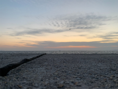 本命とは出会えず…