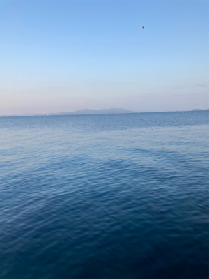 でっかいタチウオ