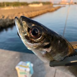 めっちゃ久々ツヌケたよ