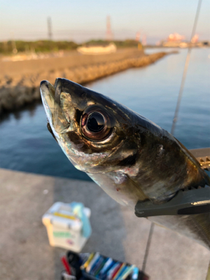 めっちゃ久々ツヌケたよ