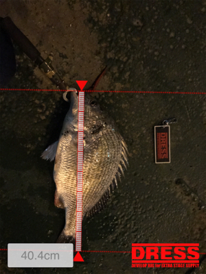 バチパターン？