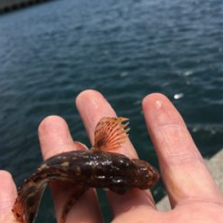 天気は良いけど…